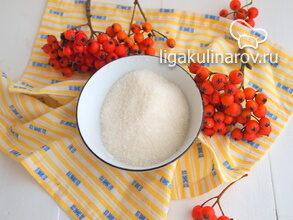 ingredienty-dlya-ryabinovogo-kompota-2211396