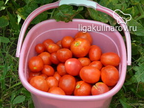 pomidory-dlya-tomatnogo-soka-2206517-4685402